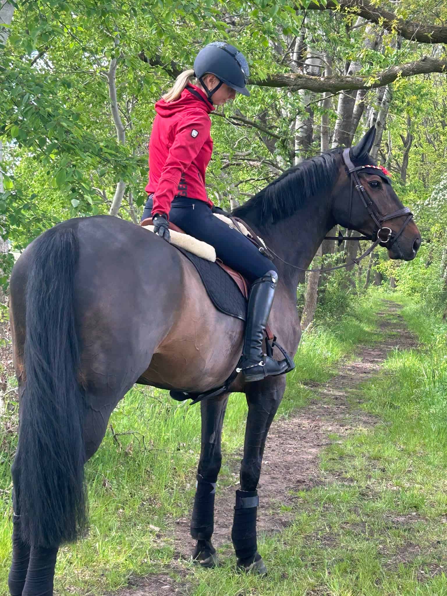 Ausreiten in der Lüneburger Heide - Eichenhof Pferdesport in Bispingen-Behringen