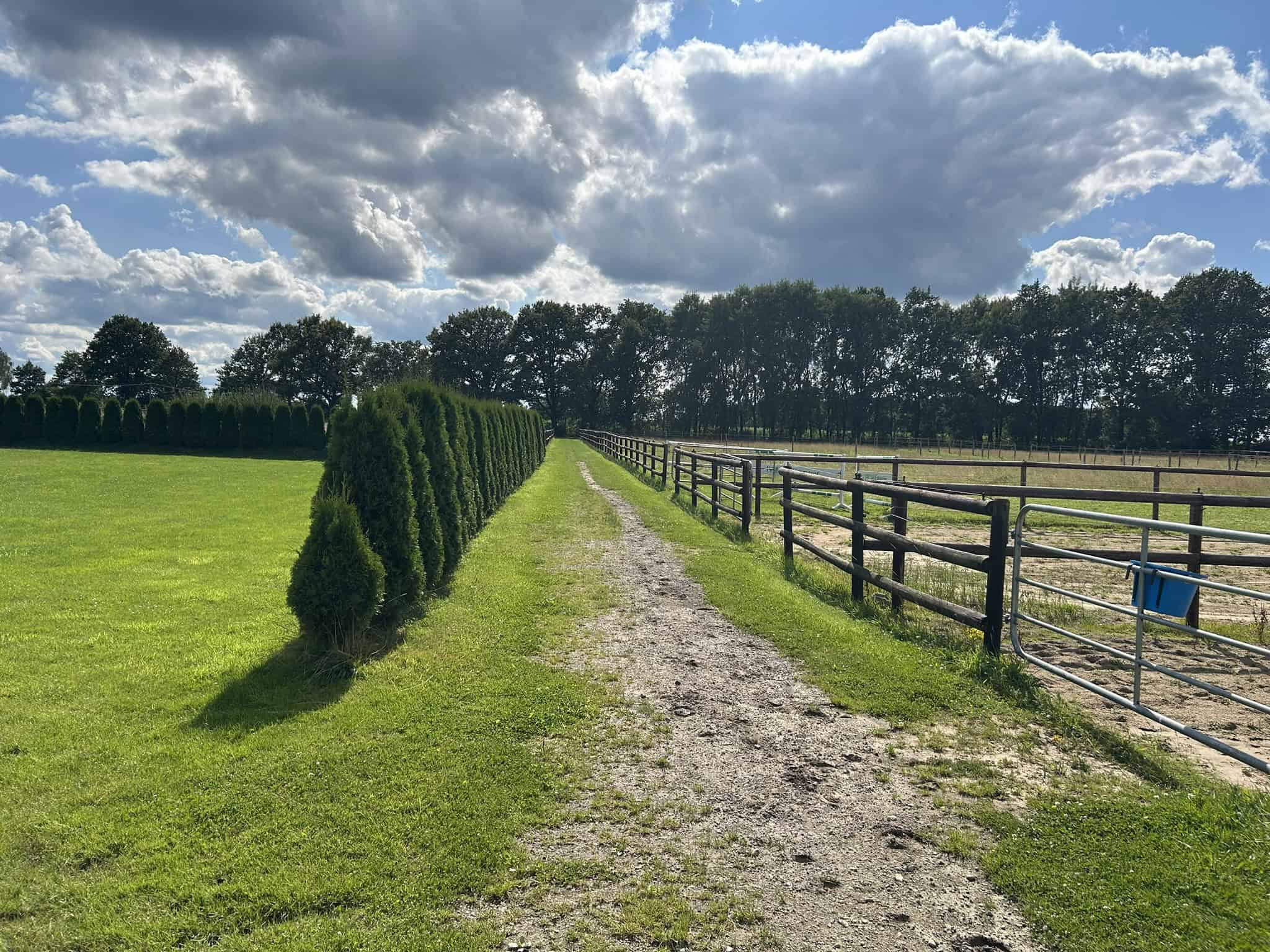 Paddockflächen und Weiden bei Eichenhof Pferdesport, Lüneburger Heide